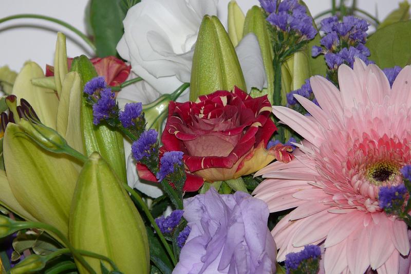 P1000543.JPG